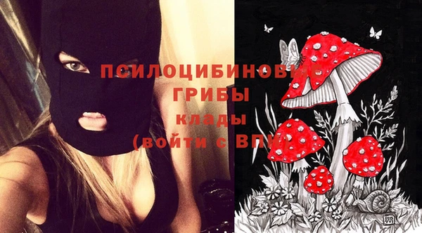 стафф Алексин