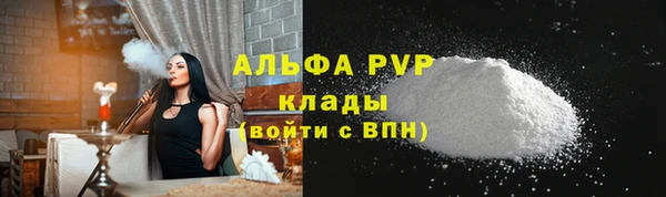 стафф Алексин