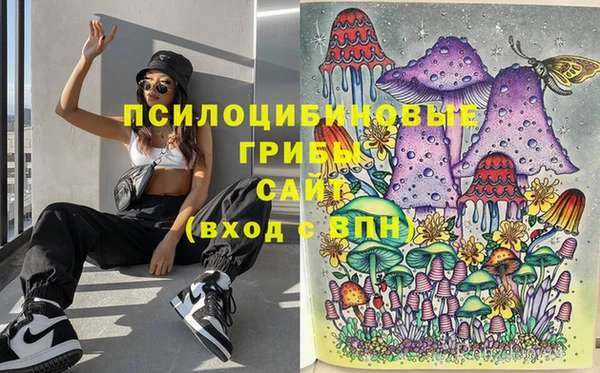 стафф Алексин