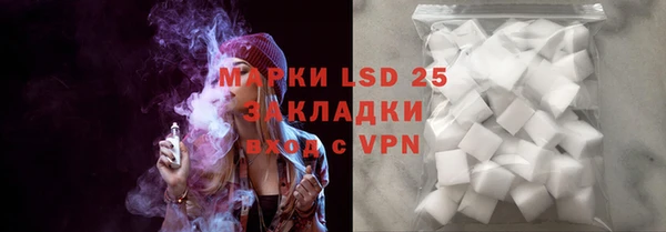 прущие грибы Алзамай