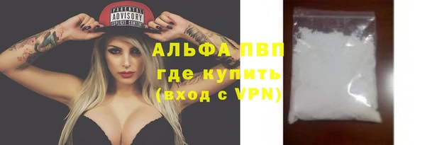 стафф Алексин