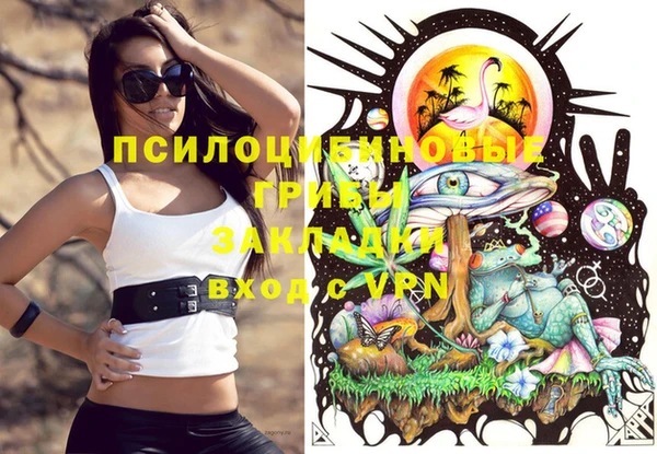 apvp Алексеевка