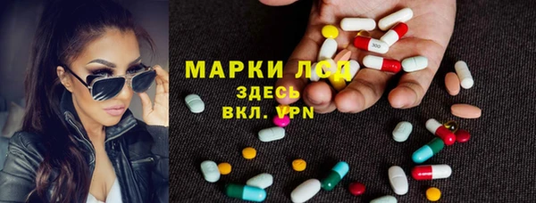 стафф Алексин