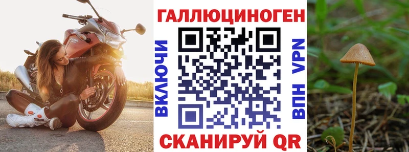 гидра ONION  Яблоновский  Псилоцибиновые грибы Cubensis 