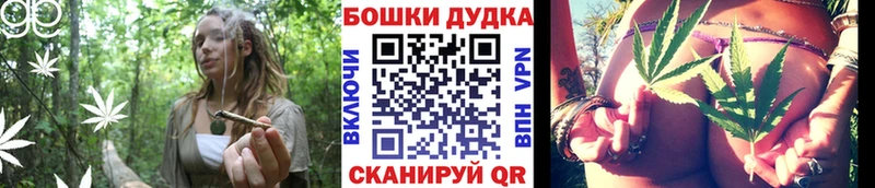 Конопля гибрид Яблоновский
